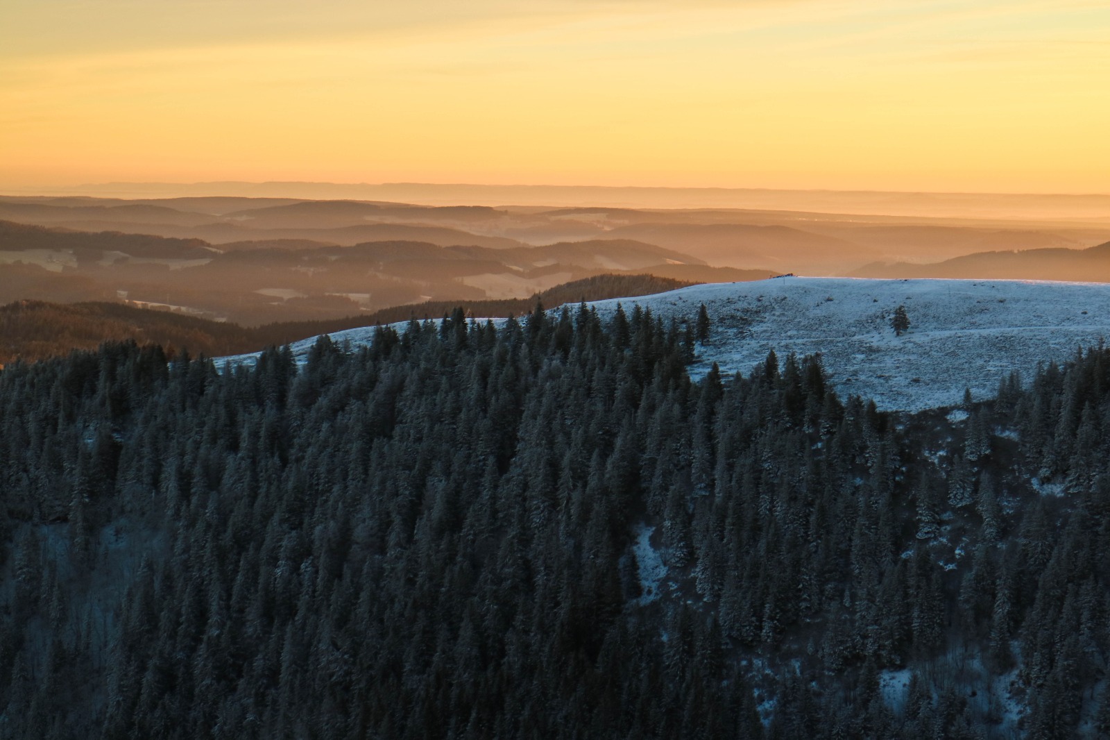 emmas-apartment_umgebung_Schwarzwald