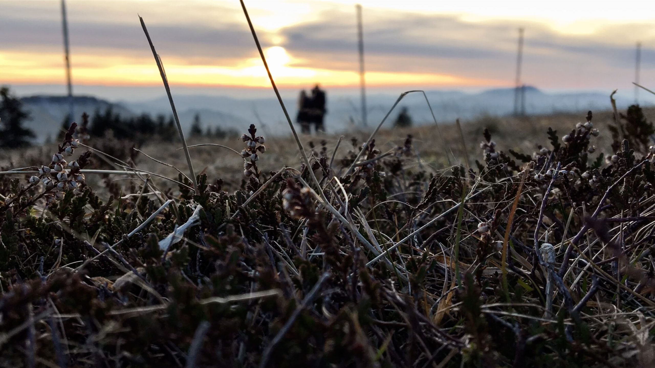 emmas-apartment_feldberg